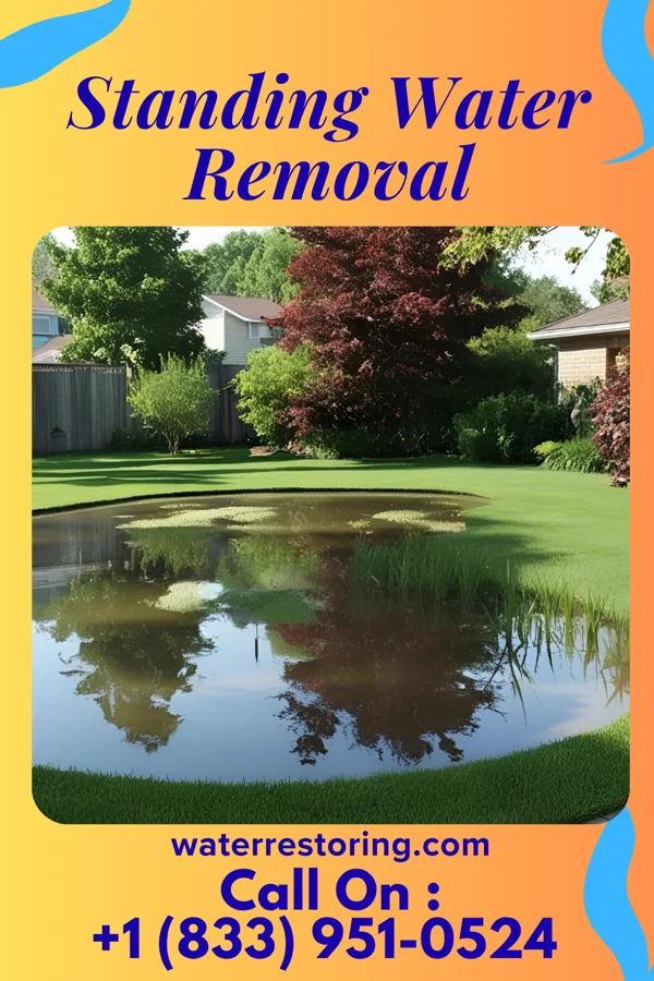 Standing Water Removal in Fayetteville, NC
